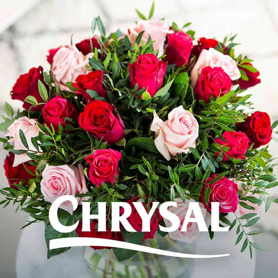 Chrysal – Wholesale.hadeco.co.za