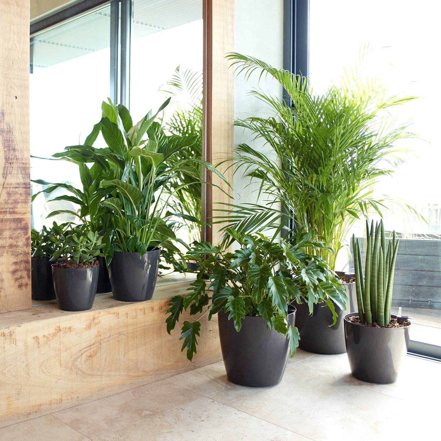 Recycled Plastic Pot - San Remo Pot - Various Options