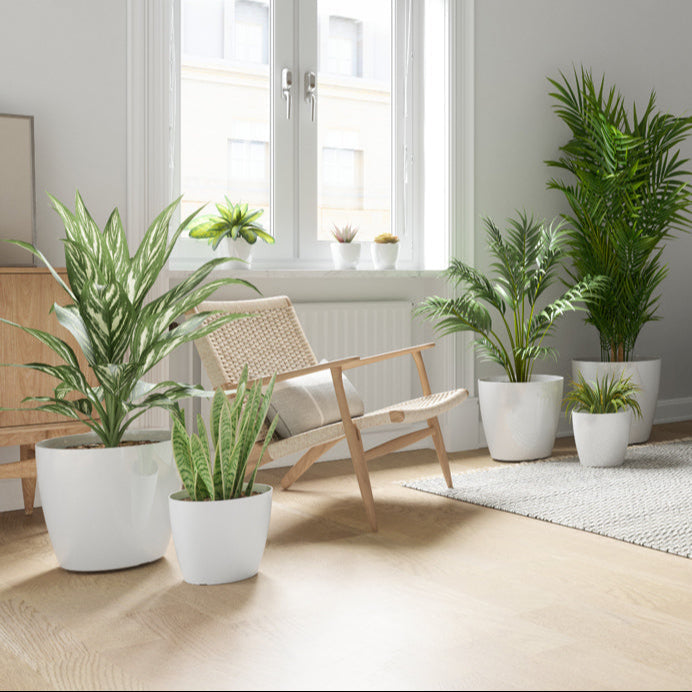 Recycled Plastic Pot - San Remo Pot - Various Options