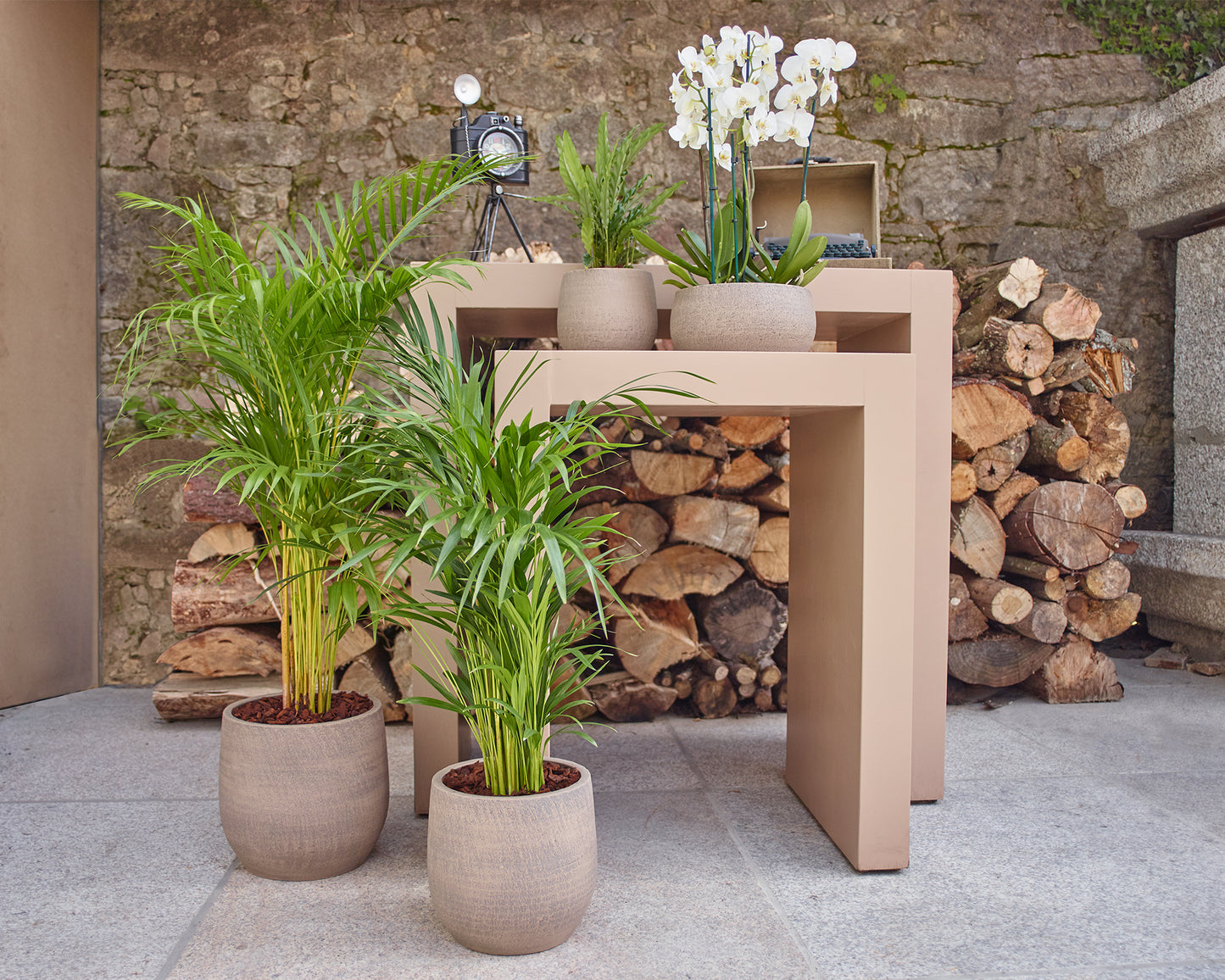 Handmade Ceramic Pot - Hemera - Various Options