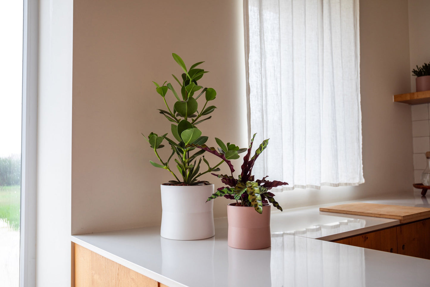Diana Ceramic Pot - Various Options