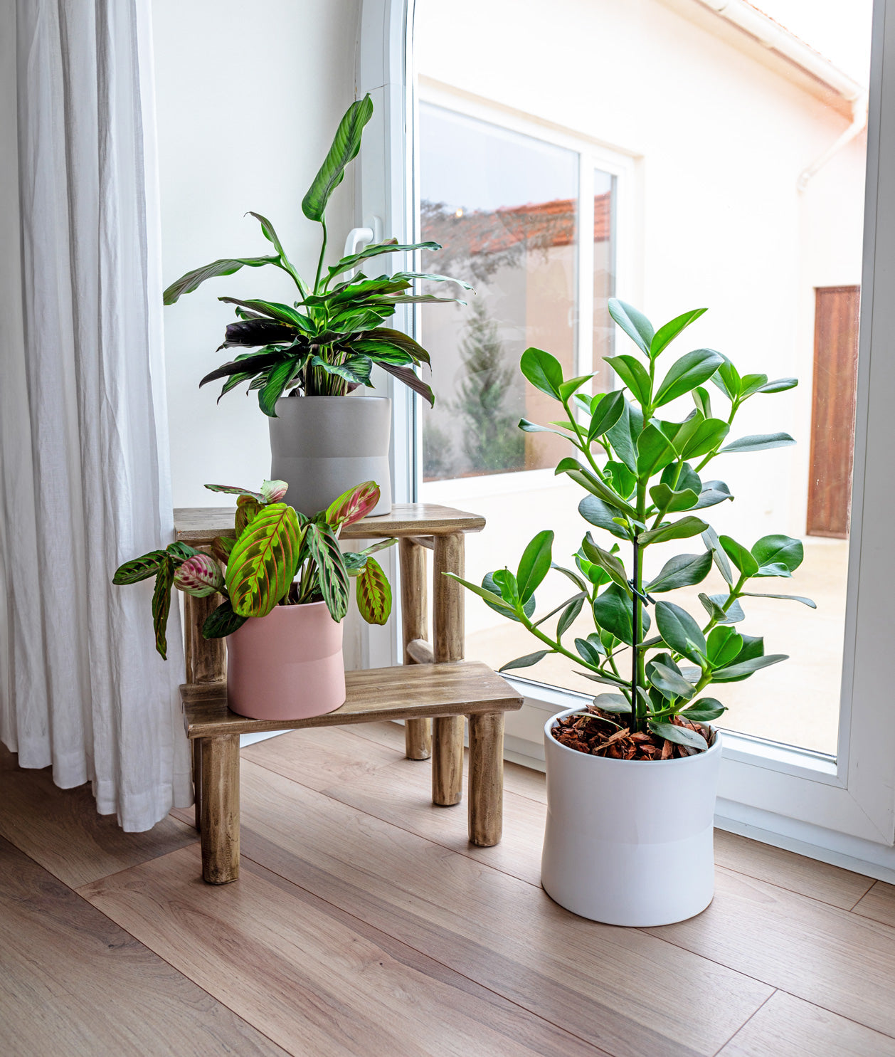 Diana Ceramic Pot - Various Options