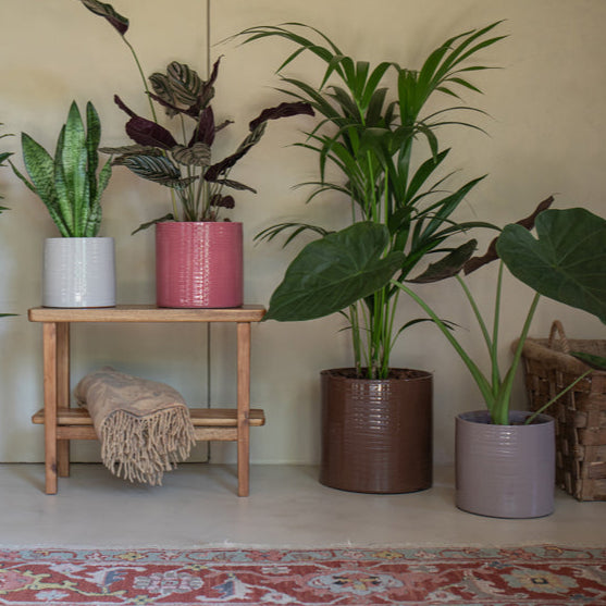 Handmade Ceramic Pot - Fortuna- Various Options