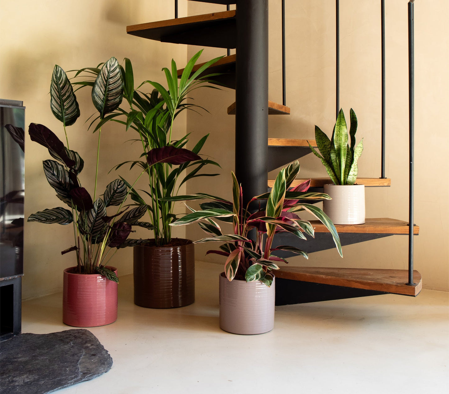 Handmade Ceramic Pot - Fortuna- Various Options