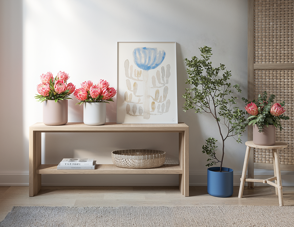 Juno Ceramic Pot - Various Options