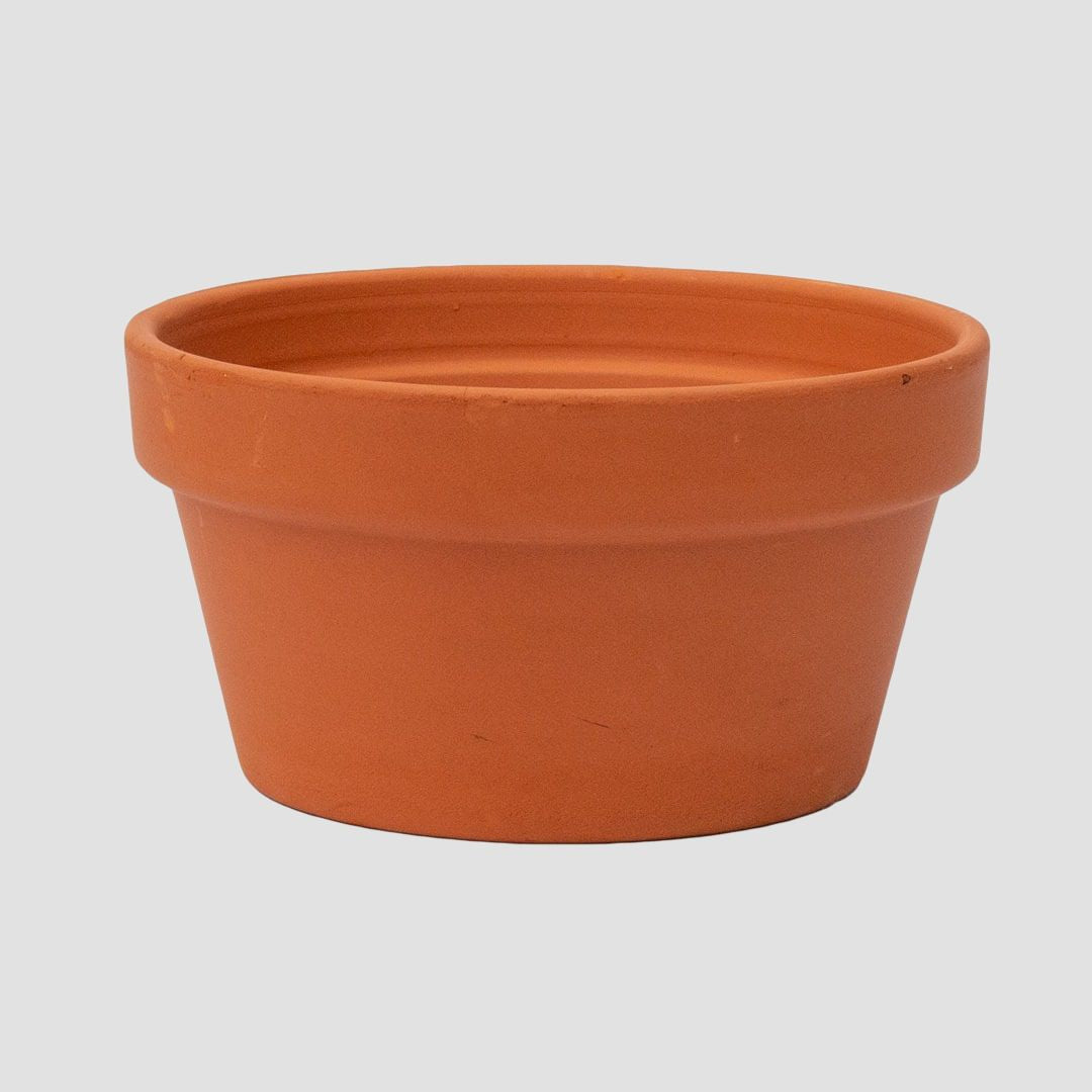 MVS Terracotta Bowl