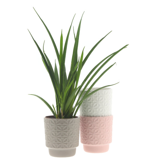 1x Ceramic Pot - Saar - Various Options