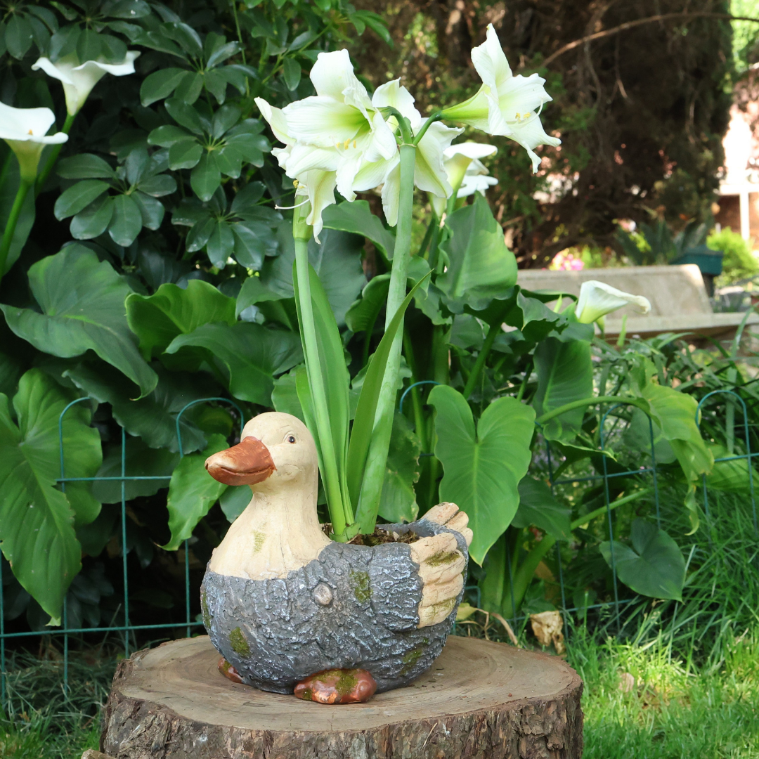 Big Duck Planter
