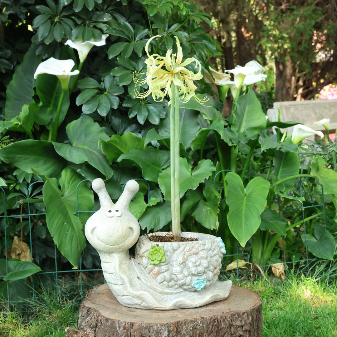 Big Snail Planter