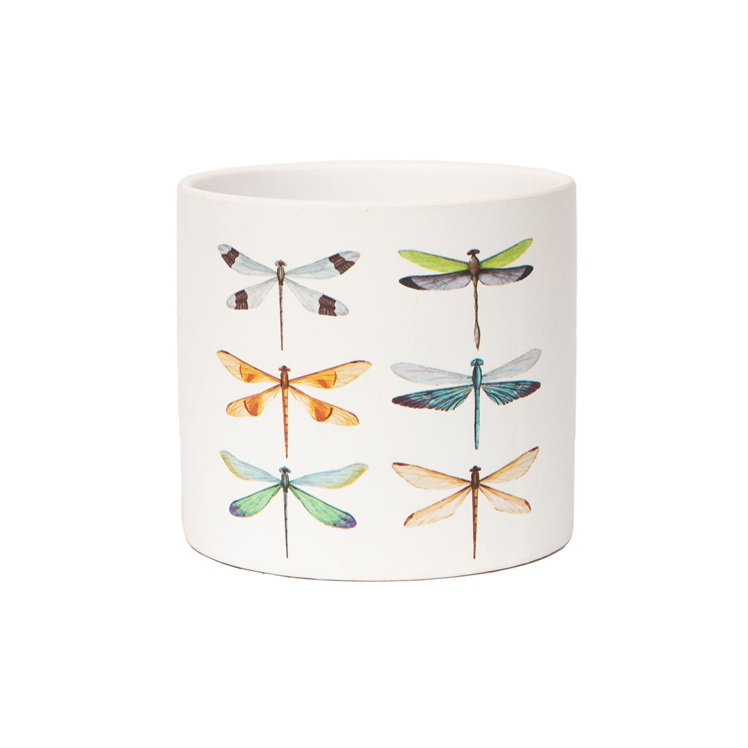 1x Dragonfly/Butterfly Design Ceramic Pot