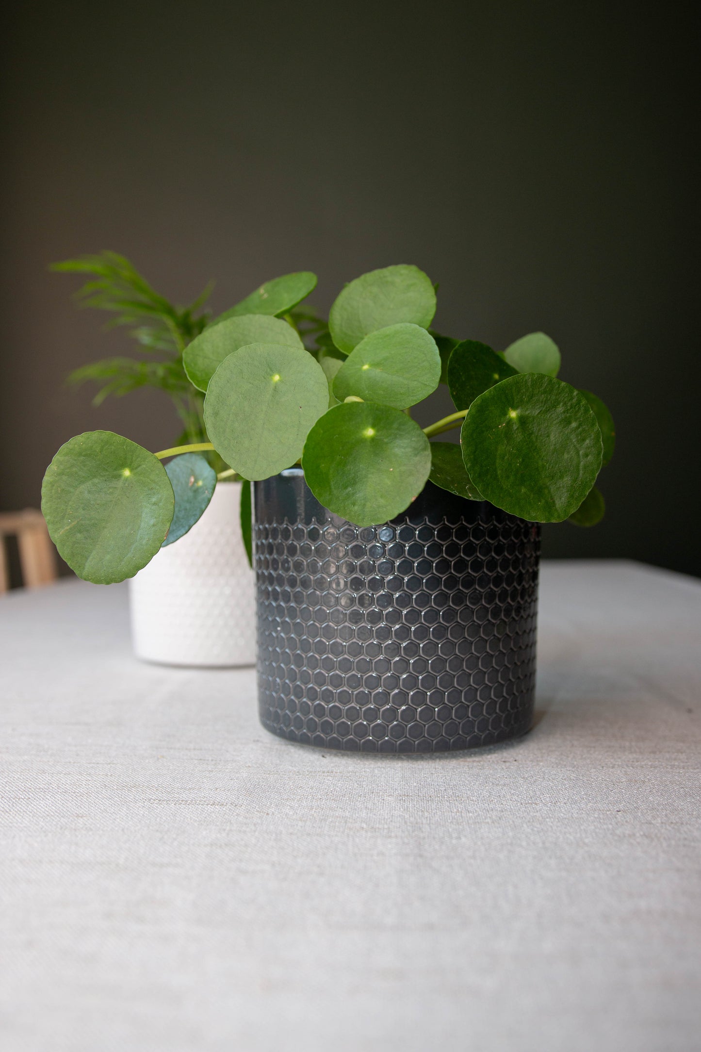 Capri Ceramic Pot - Various Colours and Sizes