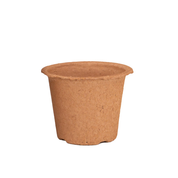 Biodegradable Ferilpot - Various Sizes