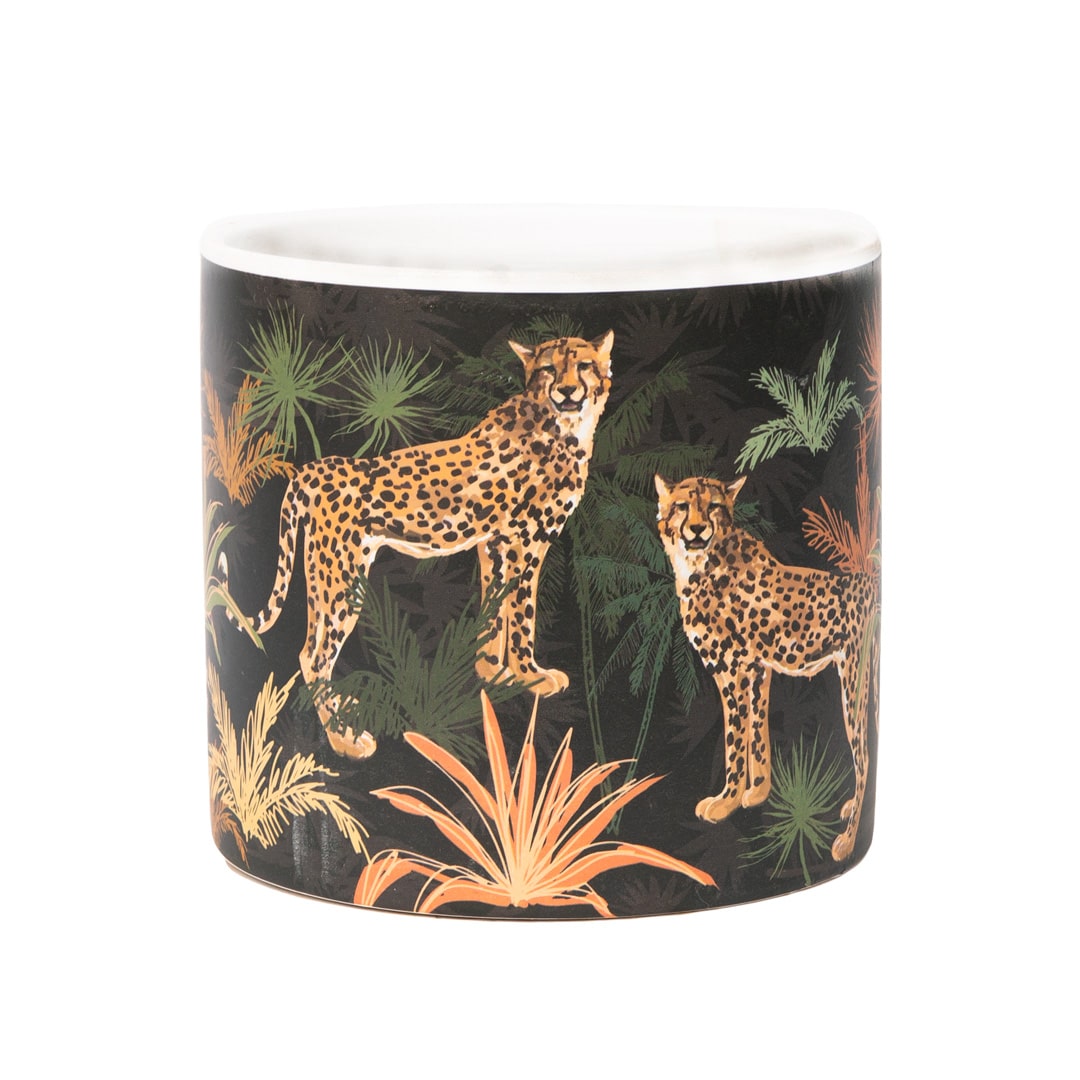 Animal-Print_Cheetah_IMG_6800