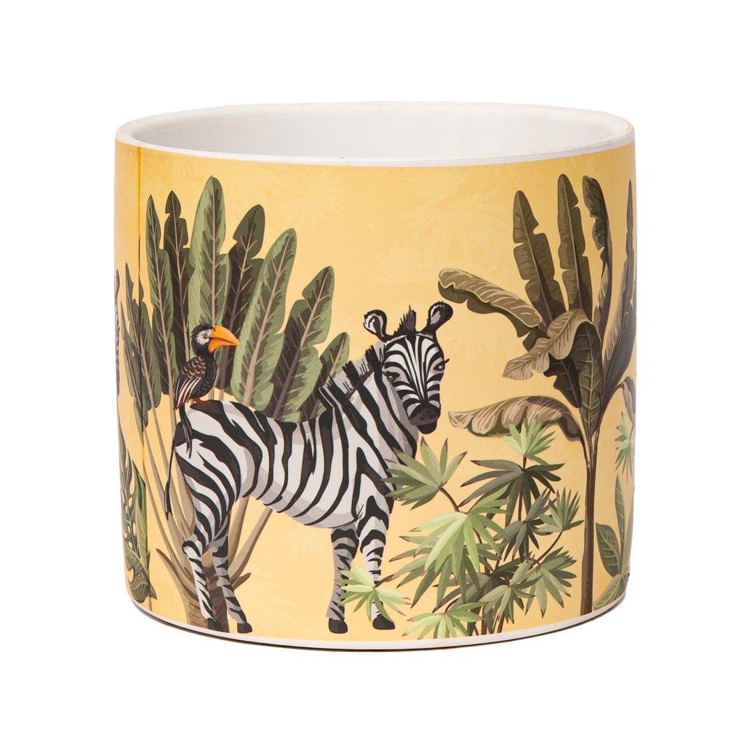 Animals-Zebra_IMG_6803