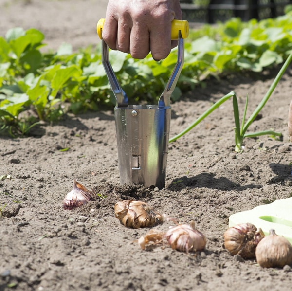 Bulb_planter_lifestyle_8711338203002