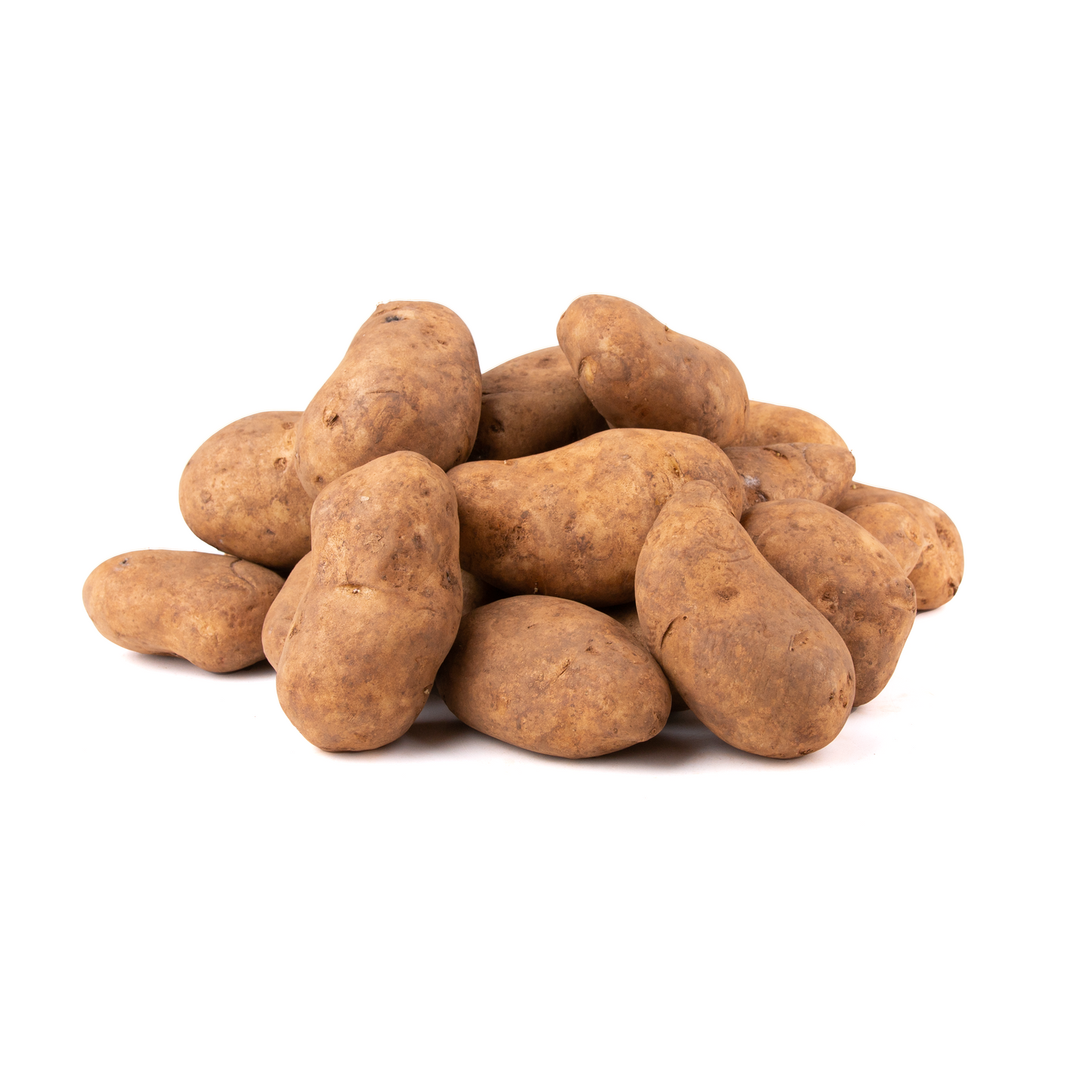 Seed Potatoes - Mondial - 7 tubers p/pack (886)