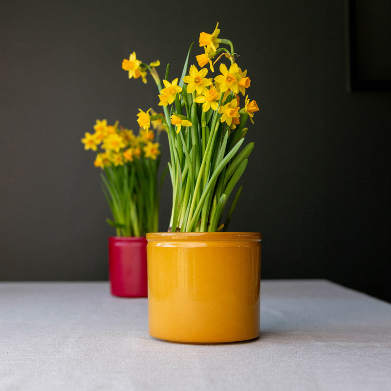 Lucca Ceramic Pot - Curry