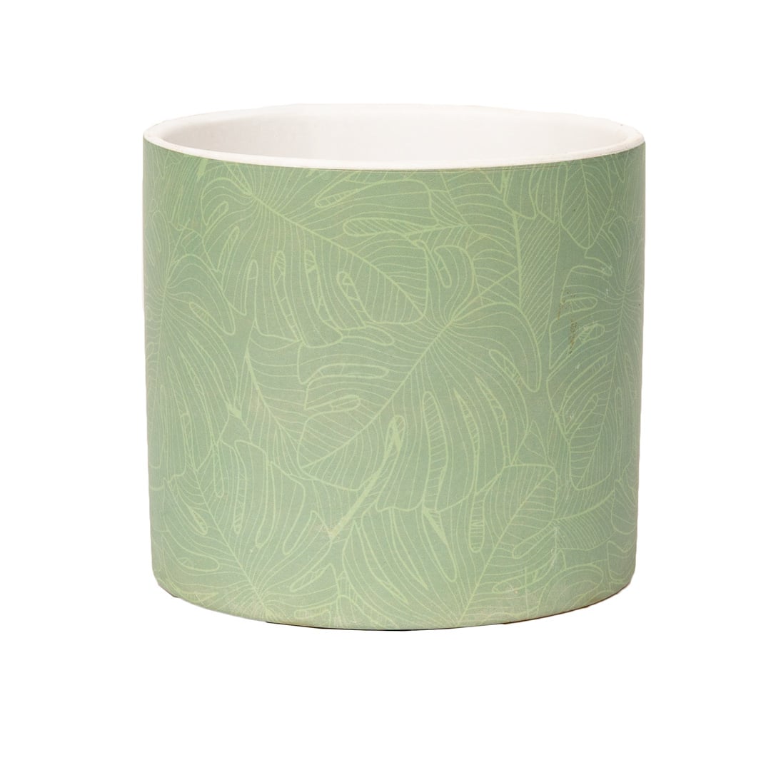 Pastel-Green_IMG_6809