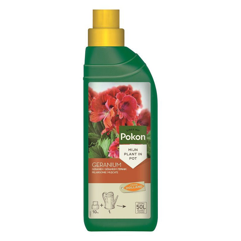 geranium_full.jpg