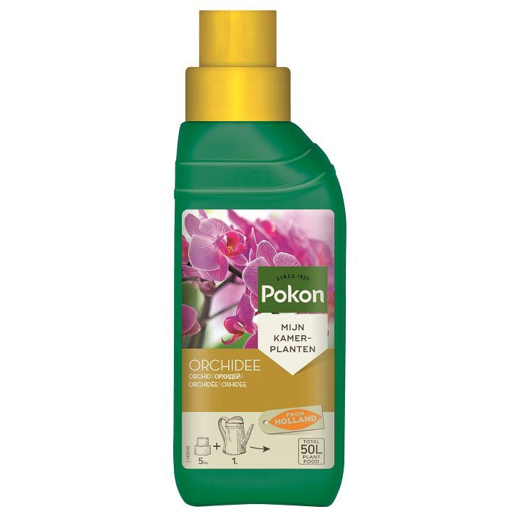 orchid_full.jpg