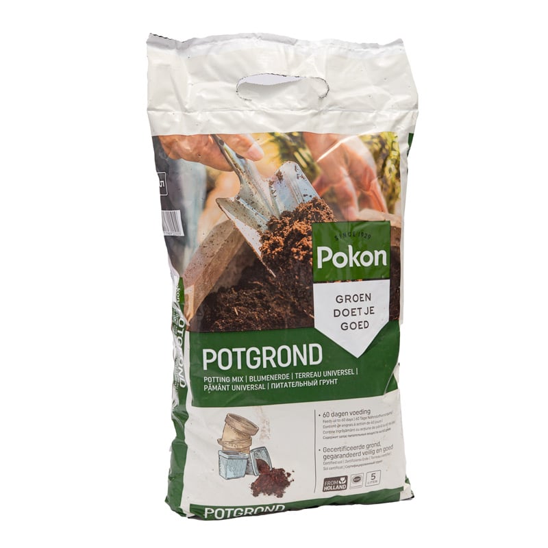 pogrond