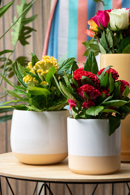 Cylinder Ceramic Dip-Dye Planter Joan - White