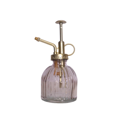Orchid Mister - Assorted Colours