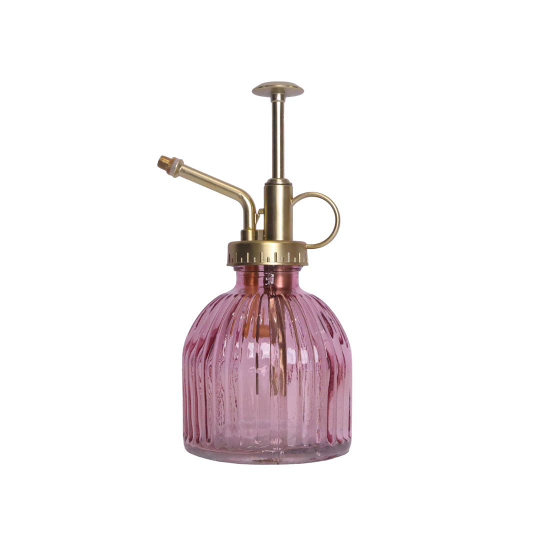 Orchid Mister - Assorted Colours