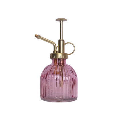 Orchid Mister - Assorted Colours