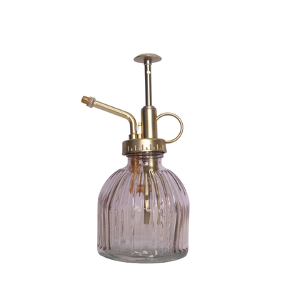 Orchid Mister - Assorted Colours
