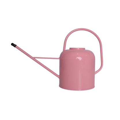 Metal Watering Can - Assorted Colours
