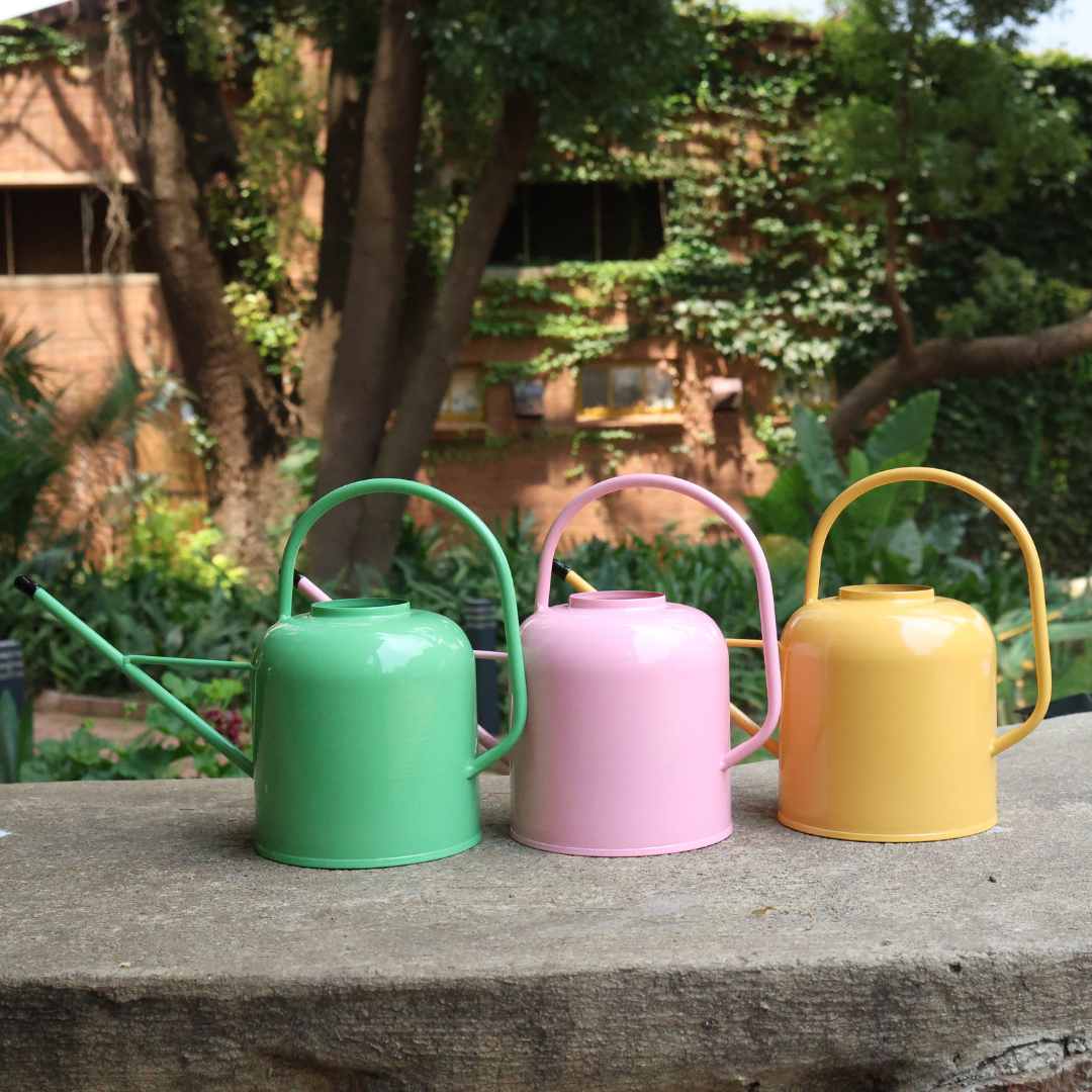 Metal Watering Can - Assorted Colours