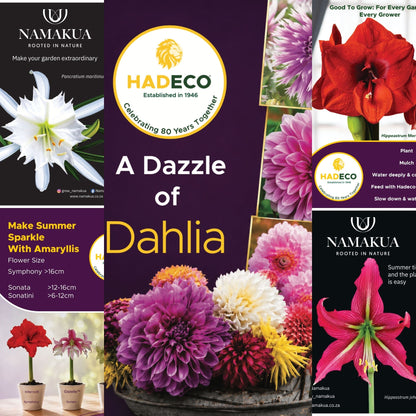 Set of 5 Complimentary Posters