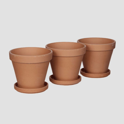 Terracotta Pot with Saucer - Various Colours