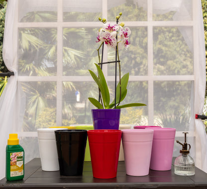 Ceramic Pot Pax - Various Colours