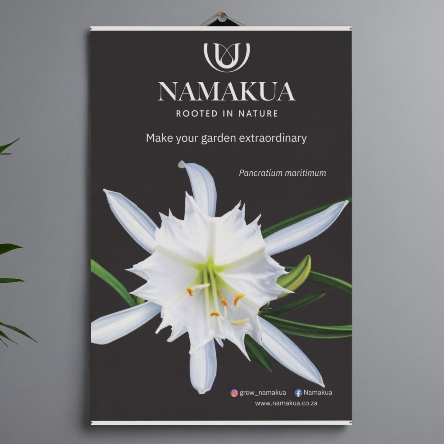Set of 5 Complimentary Posters