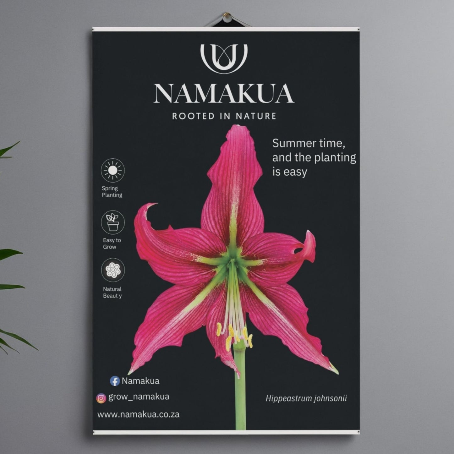 Set of 5 Complimentary Posters
