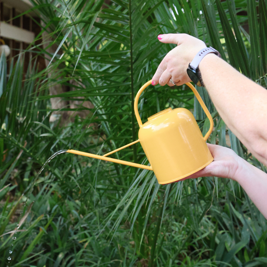 Metal Watering Can - Assorted Colours