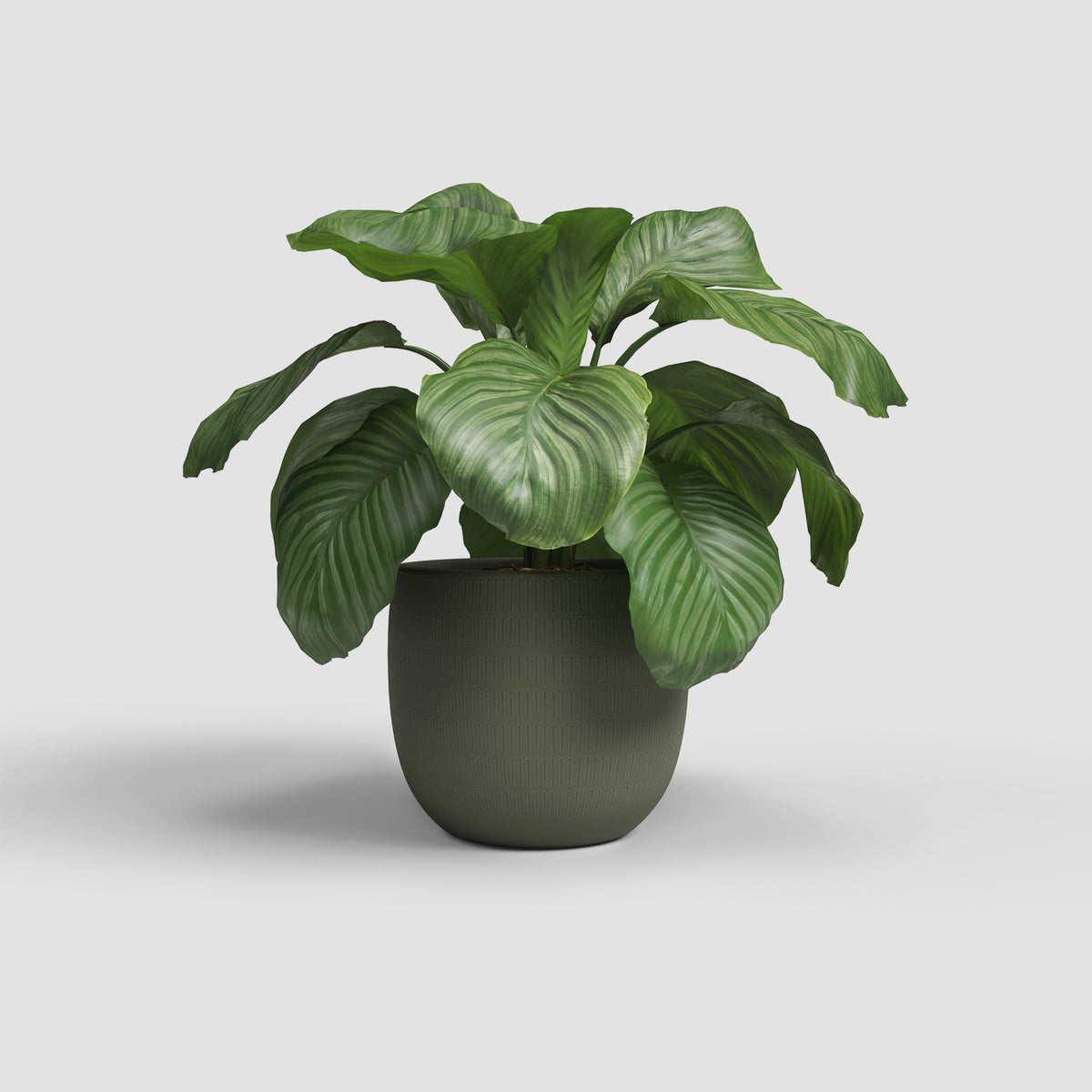Aura Pot - Various Colours