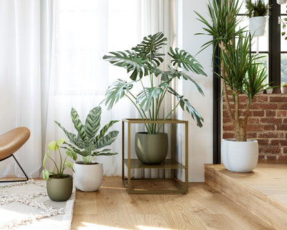 Aura Pot - Various Colours