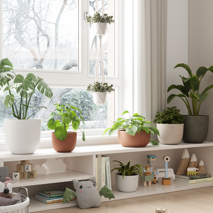 Handmade Ceramic Pot - Urania  - Various Options