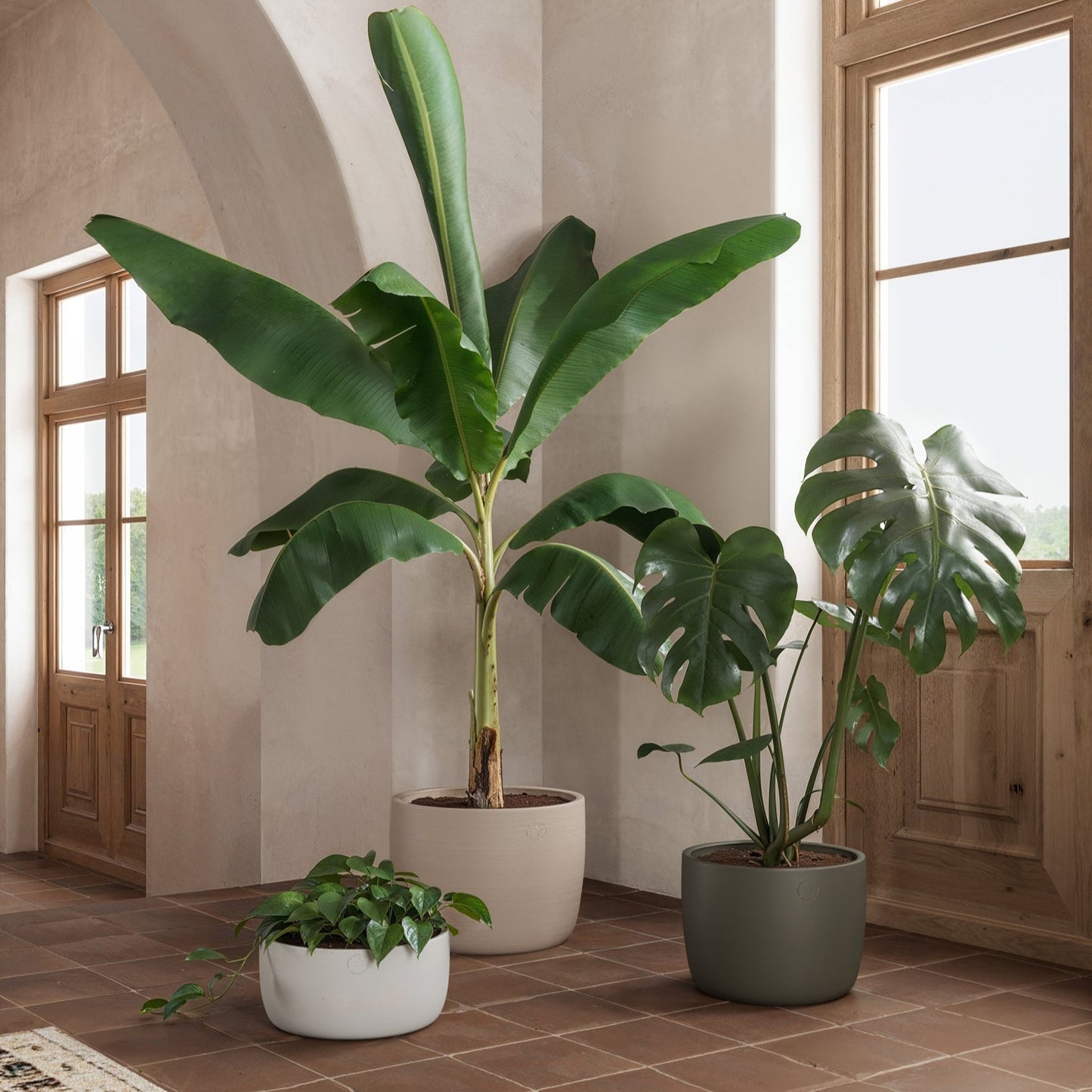 Handmade Ceramic Pot - Urania  - Various Options