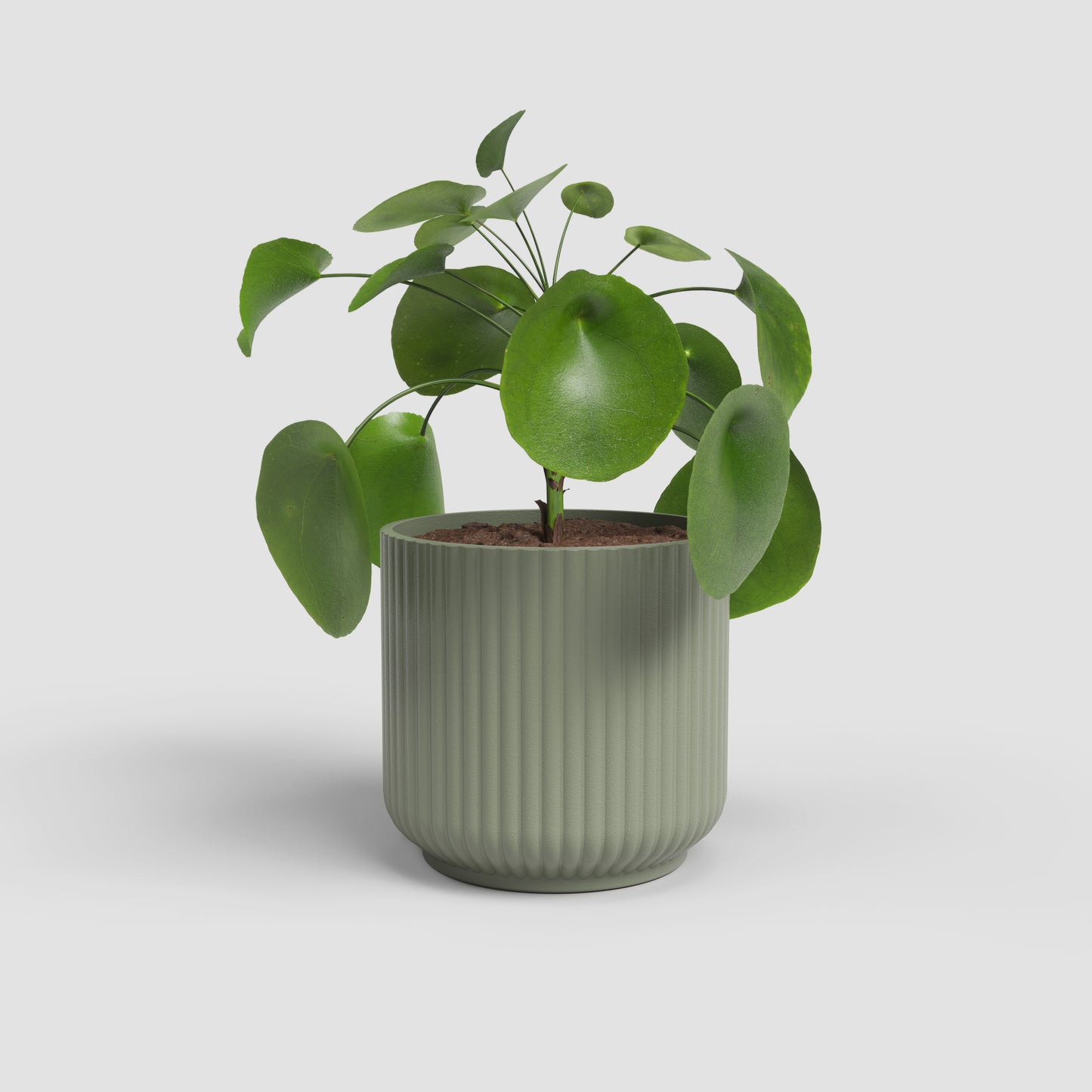 Luna Ceramic Pot - Various Options
