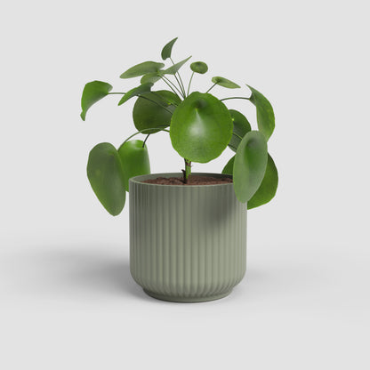Luna Ceramic Pot - Various Options