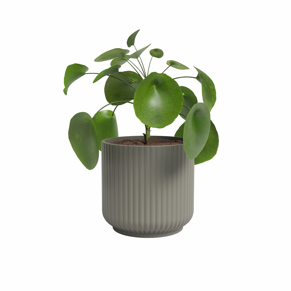Luna Ceramic Pot - Various Options
