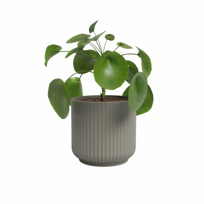 Luna Ceramic Pot - Various Options