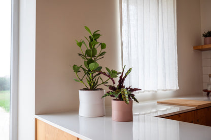 Diana Ceramic Pot - Various Options