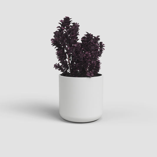 1x Matte White Juno Pot - Various Sizes