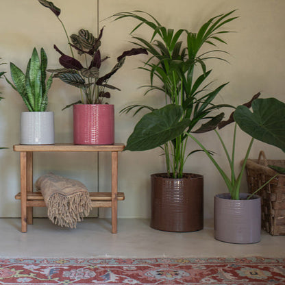 Handmade Ceramic Pot - Fortuna- Various Options