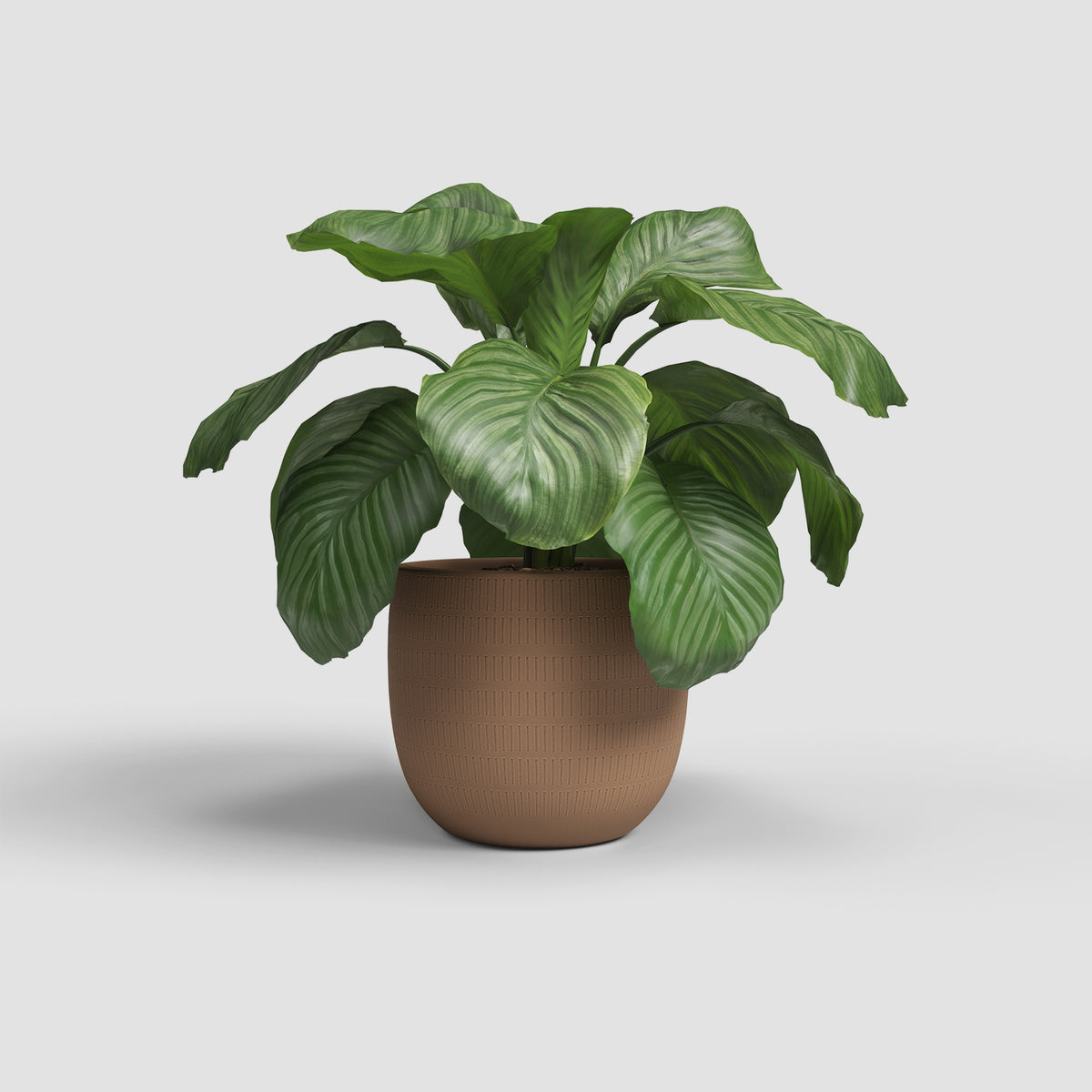 Aura Pot - Various Colours